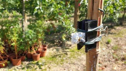 [Webinaire ABA PIC] Étudier les composés volatils en agriculture