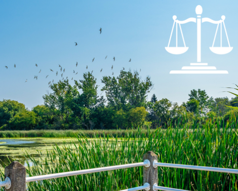 [AGROWEBINAIRE] Impacts du droit de l’environnement dans la gestion agricole de la biodiversité