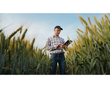 Évaluer les solutions numériques pour mieux les faire adopter par le monde agricole
