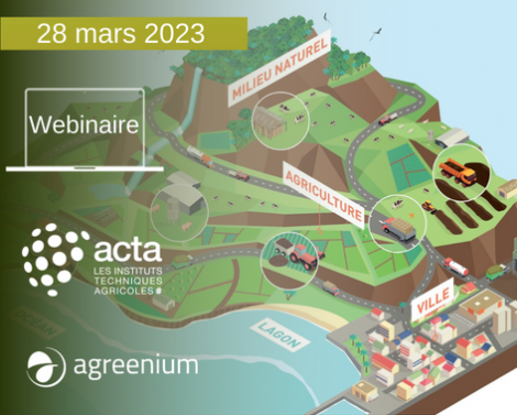 [AGROWEBINAIRE] La bioéconomie dans les DOM : particularités des approches et enseignements