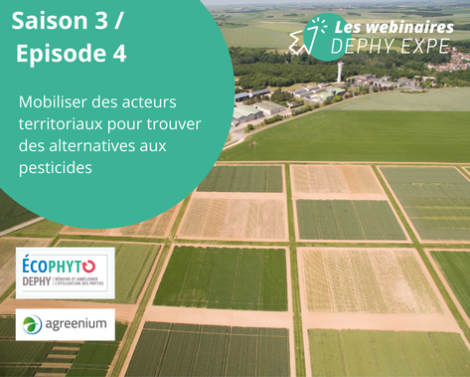 Webinaire DEPHY EXPE : Mobiliser des acteurs territoriaux pour trouver des alternatives aux pesticides