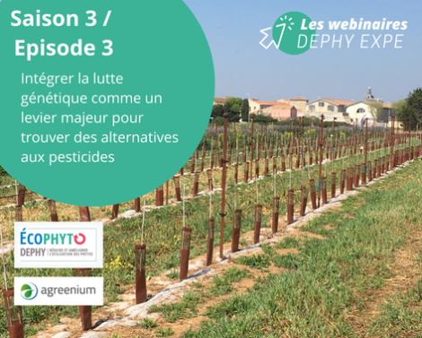 Webinaire DEPHY EXPE : Intégrer la lutte génétique comme un levier majeur pour trouver des alternatives aux pesticides