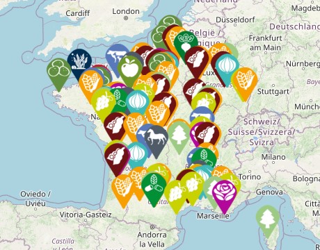 visu LinkExpe capture d'écran