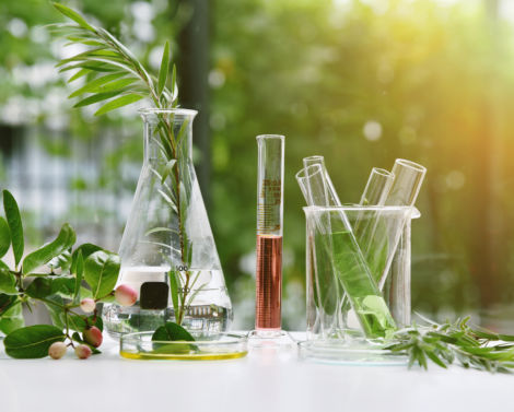 [AGROWEBINAIRE] Chimie verte et bioéconomie