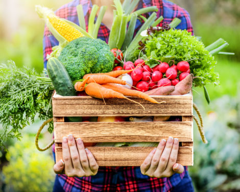 Réduire l&rsquo;utilisation de pesticides grâce au projet DECIlég
