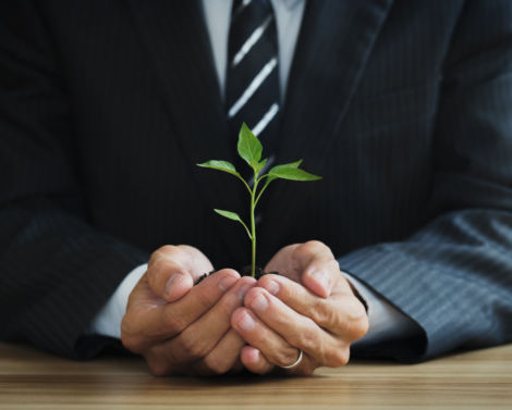 [AGROWEBINAIRE] Quelle valeur économique attribuer à la biodiversité ?