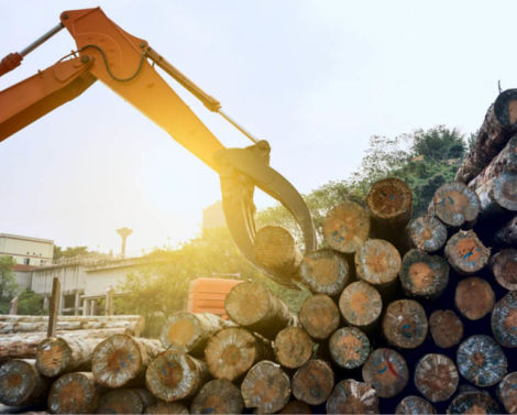 [AGROWEBINAIRE] Le développement des matériaux de construction à partir de produits agricoles et forestiers