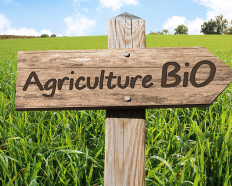 [AGROWEBINAIRE] Transition vers l’agriculture biologique : comment changer d’échelle ?