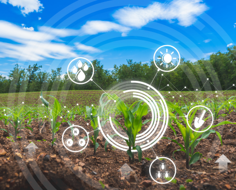 formations acta agriculture numérique
