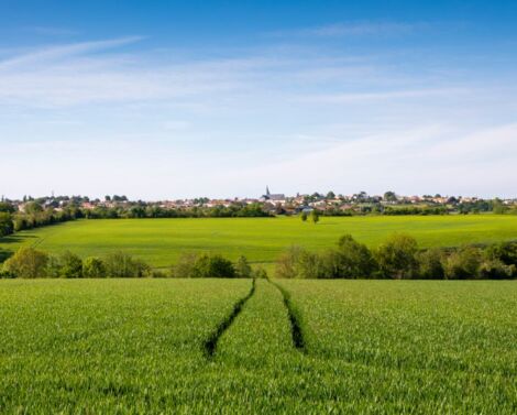 [AGROWEBINAIRE] Comment le projet de paysage contribue à la sobriété sur les territoires ?
