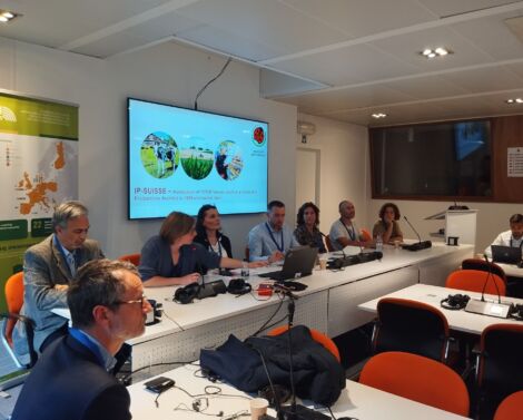 Retour sur la Conférence IPM 2024 du 14 Mai à Bruxelles