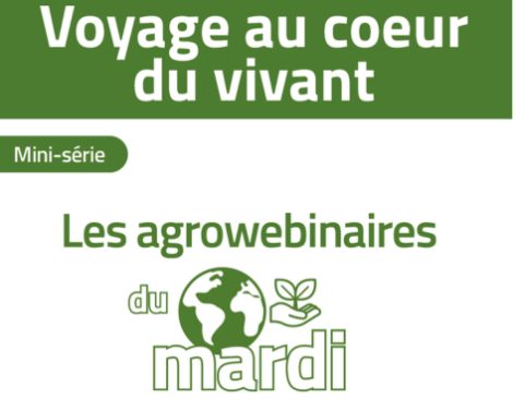 Les agrowebinaires du mardi : voyage au cœur du vivant
