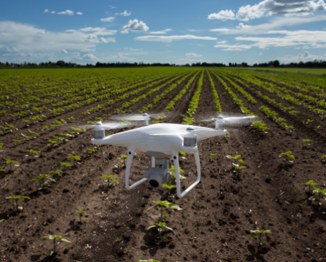L’Alliance H@rvest, des solutions numériques pour accompagner l’agriculture dans ses transitions