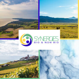 Visuel Synergies Bio et non Bio