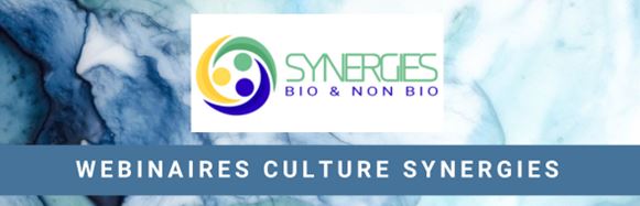 visuel Webinaires Culture Synergies