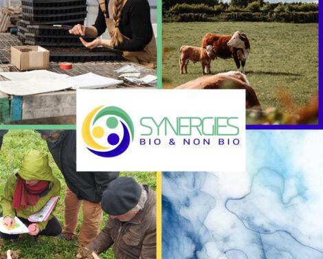 Le programme inter-instituts Synergies Bio & non Bio