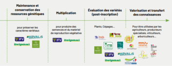 Capture d’écran 2025-02-21 152440