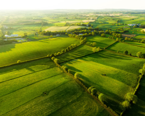 Le PARSADA : mobilisation des instituts techniques agricoles pour anticiper les impasses en protection des cultures