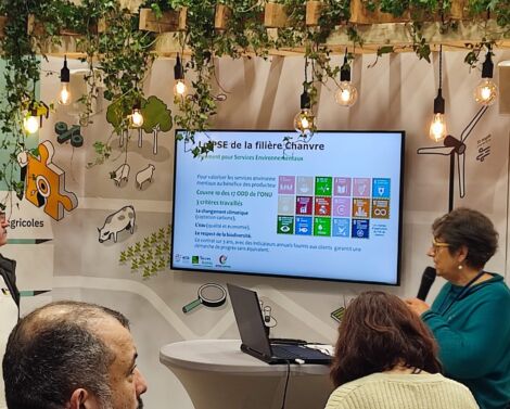 Le chanvre, une plante écologique aux débouchés économiques prometteurs