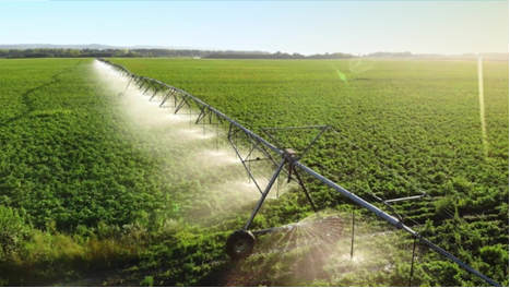 Améliorer la gestion de l’eau en grandes cultures grâce à l’outil Asalée pour les agriculteurs et techniciens