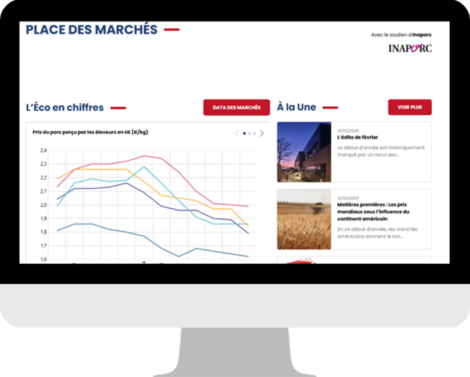 Place des marchés, la plateforme de l’économie porcine