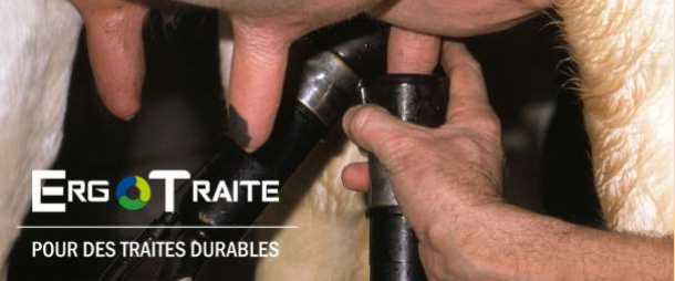 Projet ErgoTraite, pour des traites durables - ©Idele
