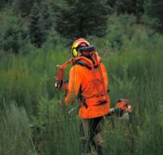 Exosquelette pour la sylviculture : Extrafor - © FCBA