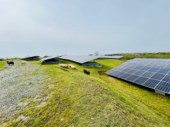 Agrivoltaïsme Agrivoltaïsme