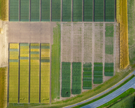 L’innovation variétale pour façonner l’avenir