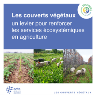 Les couverts végétaux : un atout pour l’agriculture durable