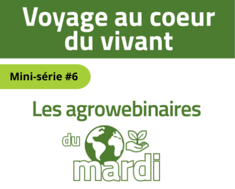 [AGROWEBINAIRE mini-série #6] La sélection face au climat