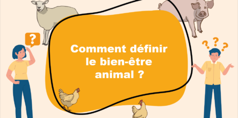 Outils de diagnostic du bien-être en élevage