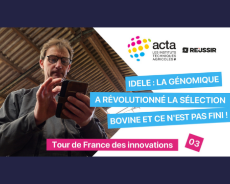 VIDÉO 3 « Tour de France des innovations » – Génomique bovine : anticiper la performance et la durabilité des troupeaux avec l’Idele