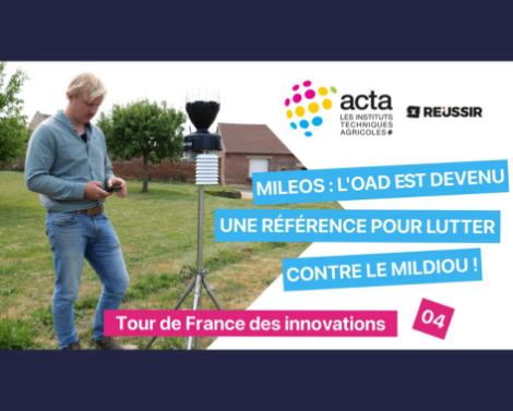 VIDÉO 4 « Tour de France des innovations » – Mileos, l’outil d’aide à la décision d’Arvalis face au mildiou de la pomme de terre