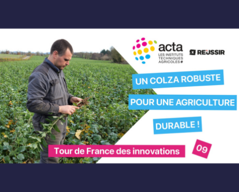 VIDÉO 9 « Tour de France des innovations » – Colza robuste : les solutions agronomiques développées par Terres Inovia
