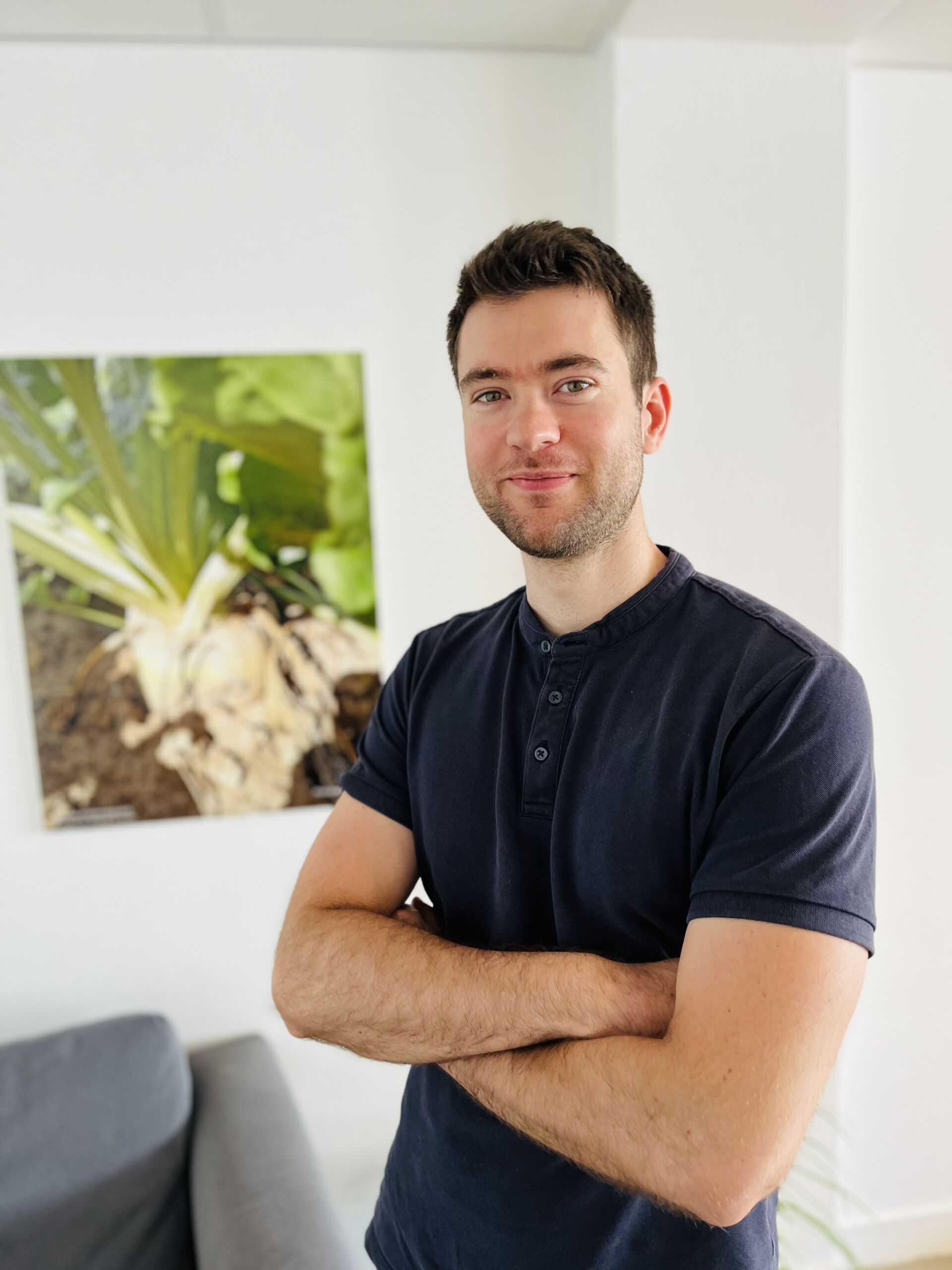 Désherb’Avenir : une vitrine grandeur nature pour le désherbage alternatif de la betterave à sucre